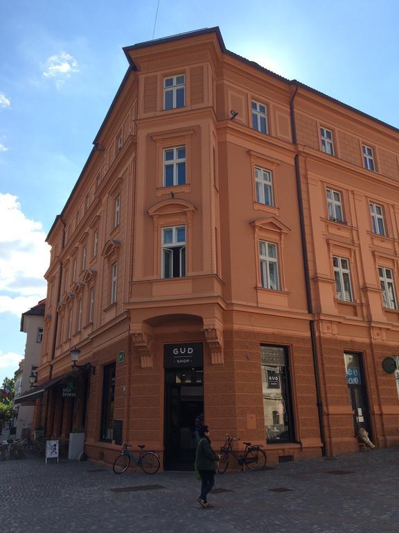 Apartment Loft Laibach Exterior foto